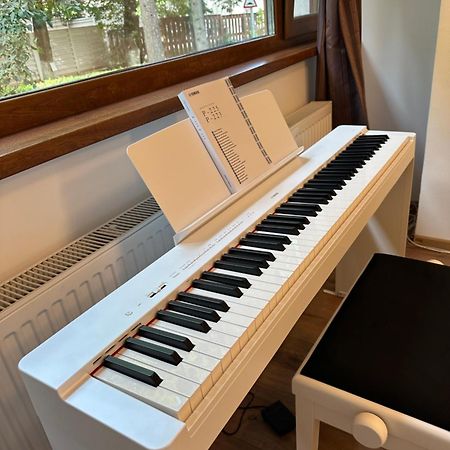 Peles Green Apartment & Piano クルージュ＝ナポカ エクステリア 写真