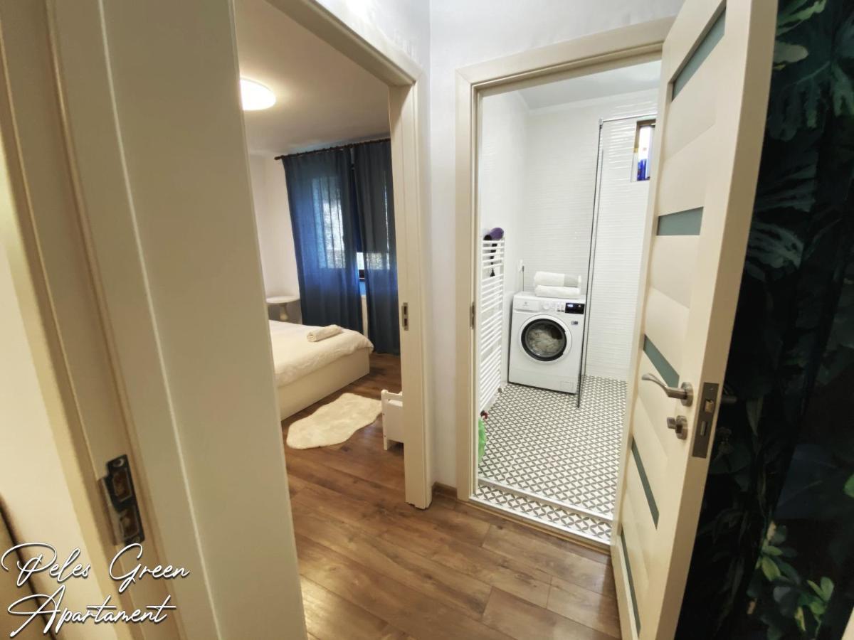 Peles Green Apartment & Piano クルージュ＝ナポカ エクステリア 写真