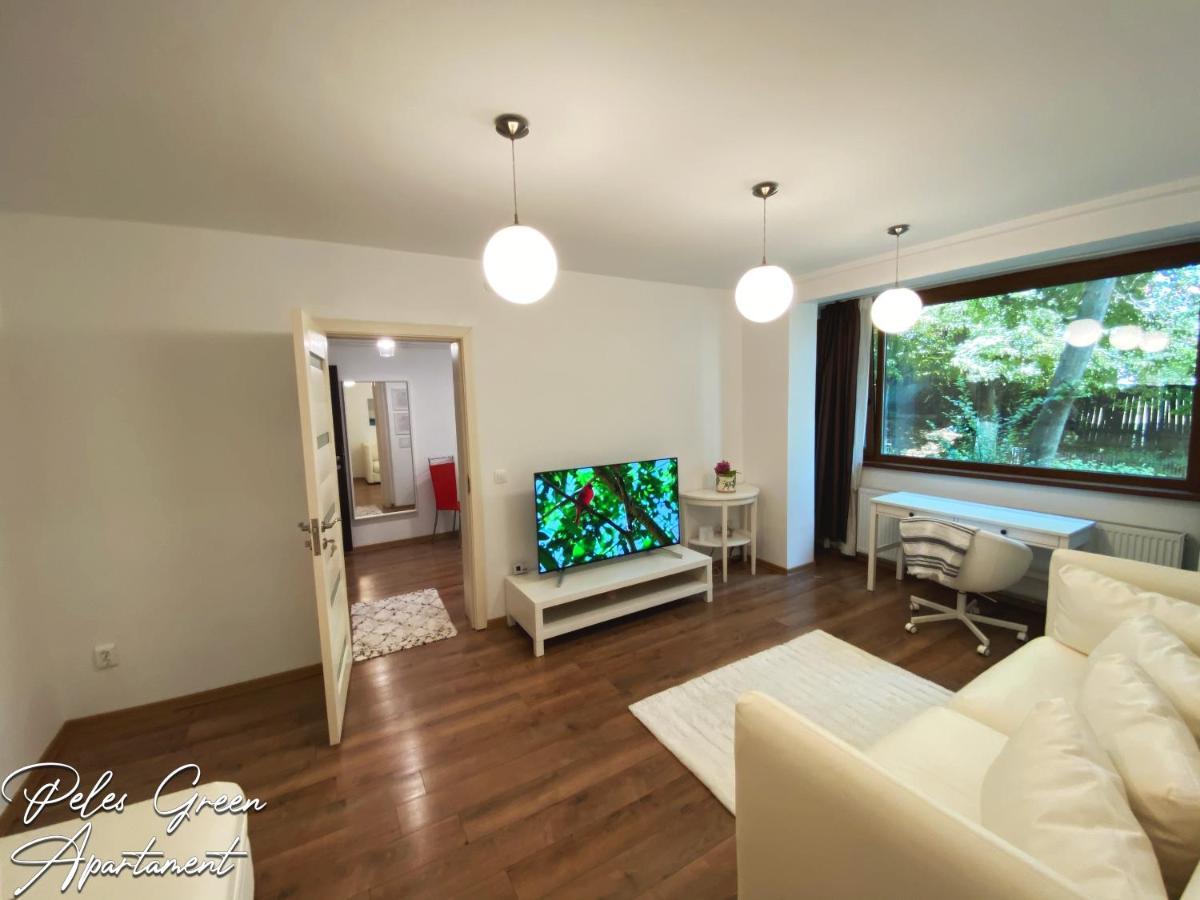 Peles Green Apartment & Piano クルージュ＝ナポカ エクステリア 写真