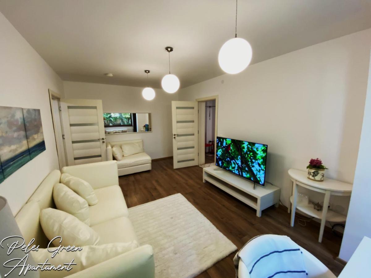 Peles Green Apartment & Piano クルージュ＝ナポカ エクステリア 写真