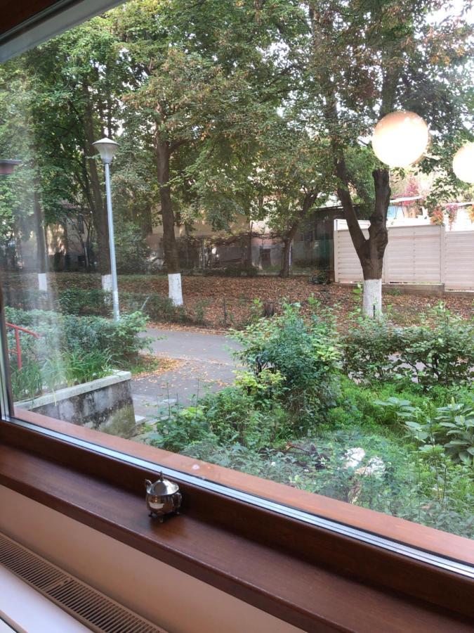 Peles Green Apartment & Piano クルージュ＝ナポカ エクステリア 写真