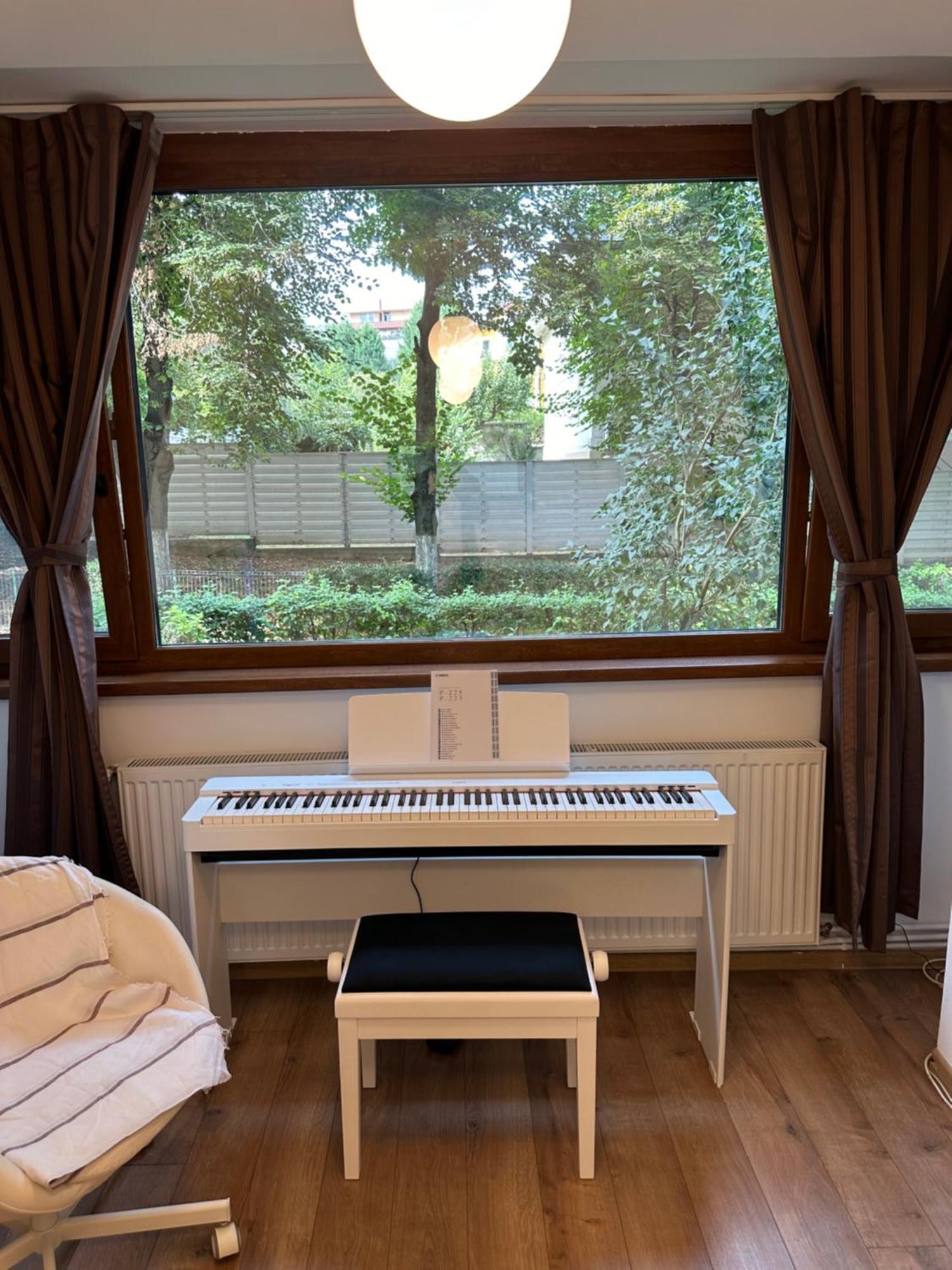 Peles Green Apartment & Piano クルージュ＝ナポカ エクステリア 写真
